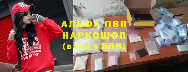 индика Горнозаводск