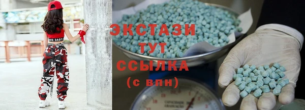 индика Горнозаводск
