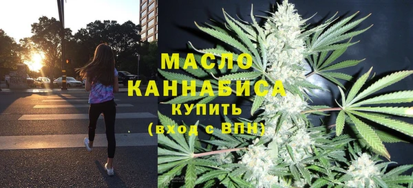 твердый Горняк
