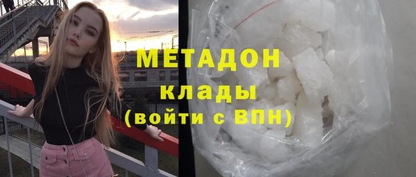 индика Горнозаводск