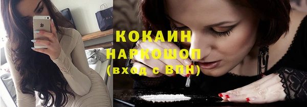 индика Горнозаводск