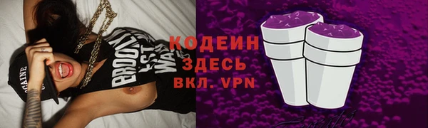 твердый Горняк