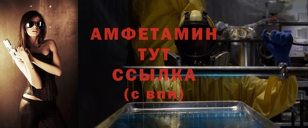 индика Горнозаводск