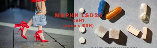 индика Горнозаводск