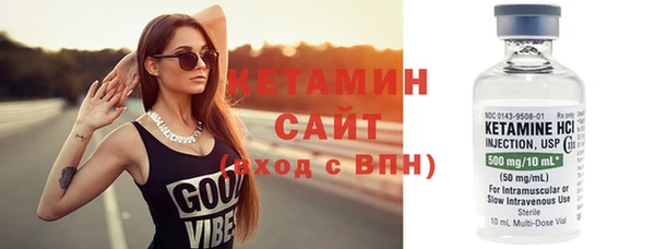 индика Горнозаводск