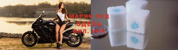 твердый Горняк