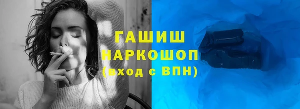 индика Горнозаводск