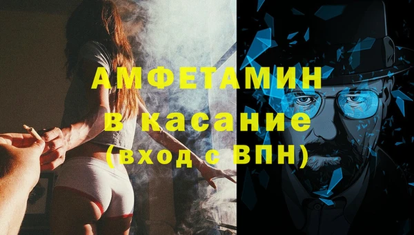 индика Горнозаводск