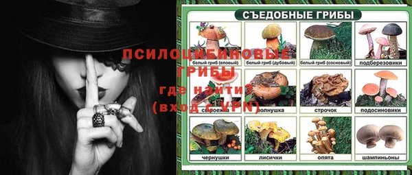 индика Горнозаводск
