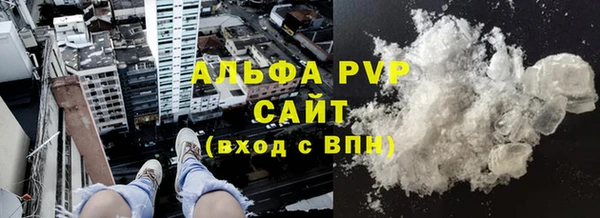 индика Горнозаводск