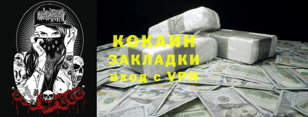 твердый Горняк