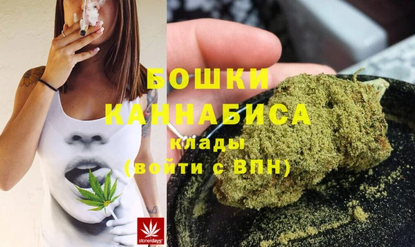 индика Горнозаводск