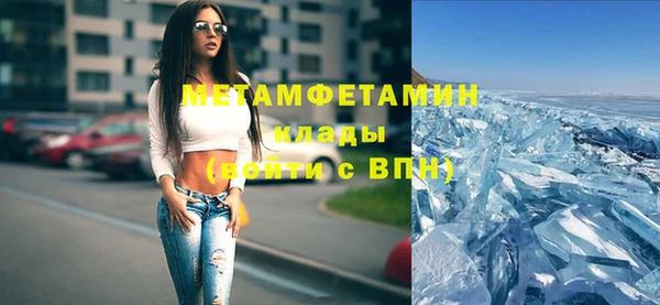 индика Горнозаводск