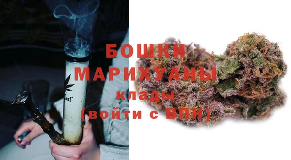 индика Горнозаводск