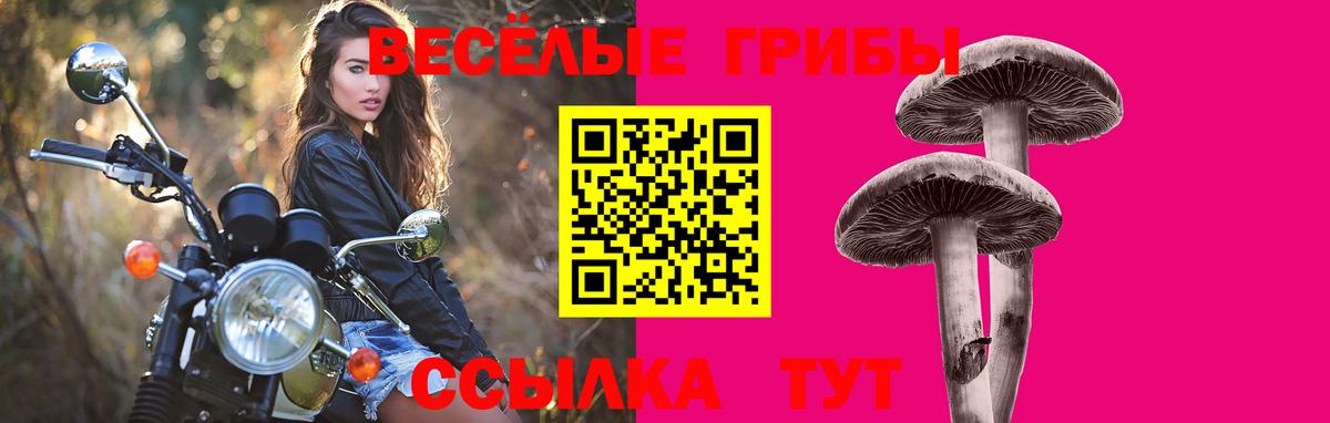 наркотики  Псилоцибиновые грибы Magic Shrooms  Вход с VPN  Карпинск 