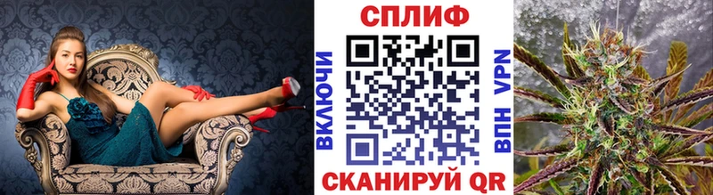 Марихуана семена  блэк спрут зеркало  Карпинск  дарнет шоп 